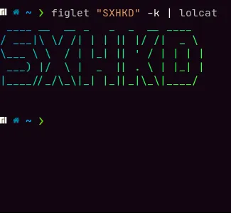 Some Notes About SXHKD