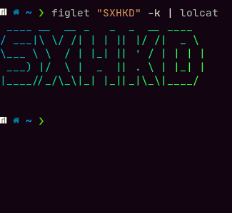 Some Notes About SXHKD